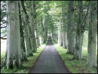 Todesfälle Todesfälle